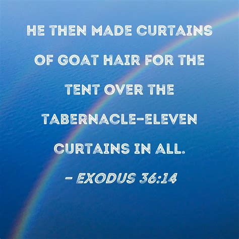 Exodus 36:14 He then made curtains of goat hair for the tent over the ...