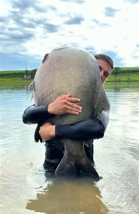 Image result for Catching Big Fish Tips