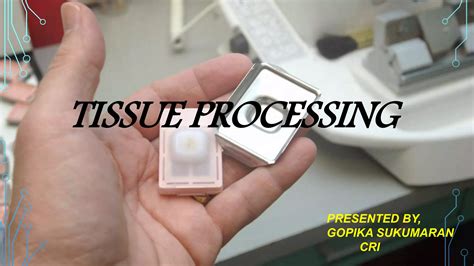 Tissue Processing 的图像结果