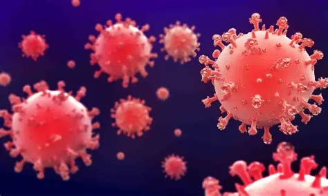 Vaccine Hub