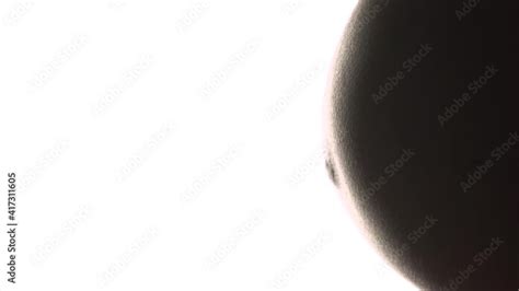 Image result for Alien Birth Belly Button