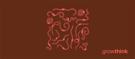 Worm Farm Business 的图像结果