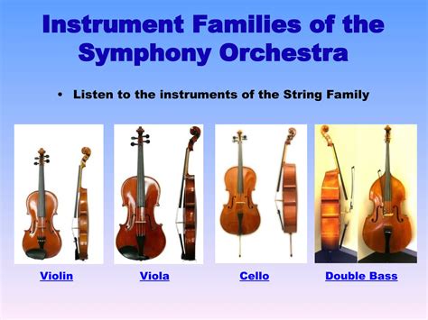 Image result for String Family Instruments