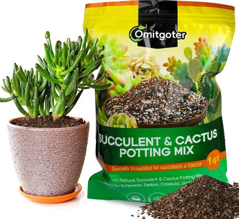 Amazon.com : Omitgoter Succulent & Cactus Soil Potting Mix 1qt, Natural ...