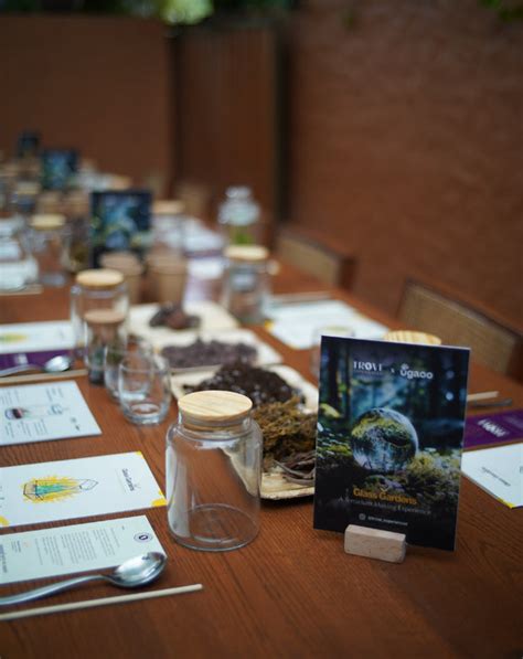 Glass Gardens | Terrarium Making Experience in Pune – Trove Experiences