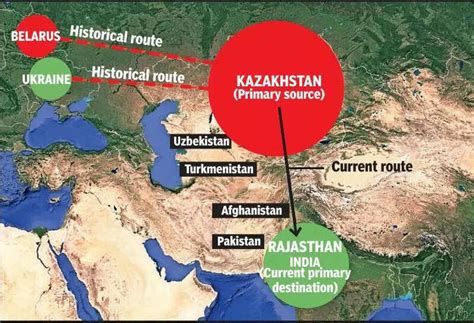 Russia-Ukraine war alters skies: How Rajasthan becomes new winter haven ...