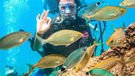 Antalya Tours and Excursions 2025