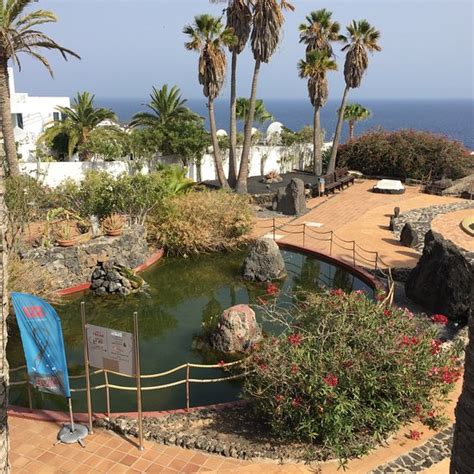 THE TAPAS TREE, Puerto Del Carmen - Restaurant Reviews, Phone Number ...