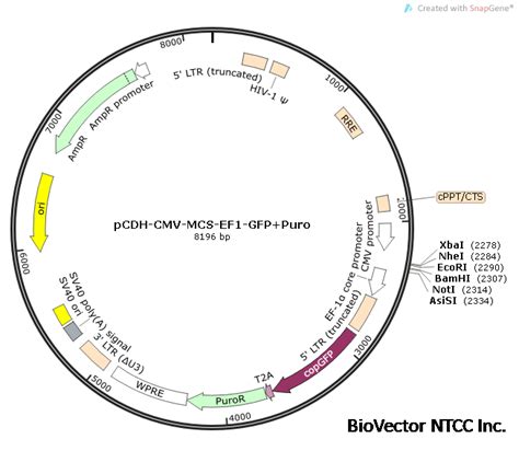 Pcdf Vector 的图像结果