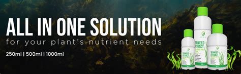 A R S H Liquid Seaweed Fertilizer For Plants With Measuring Cup 30ml ...