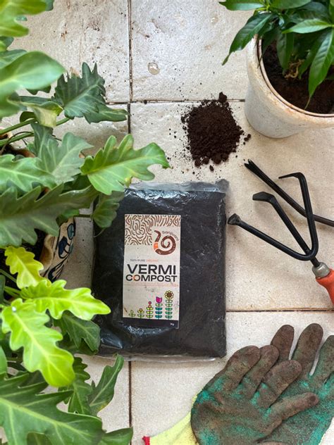 Organic Vermi Compost - Boost Soil Health Naturally