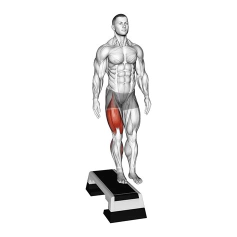 7 Best Vastus Lateralis Exercises (with Pictures!) - Inspire US
