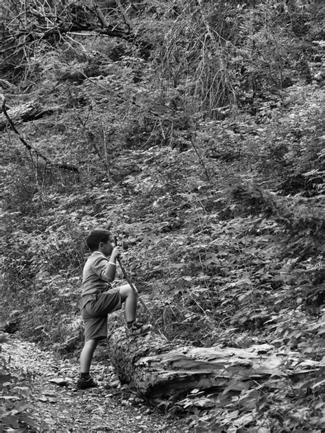 Attraverso l’obiettivo: Ritrovare il ritmo lento e vitale della Natura ...
