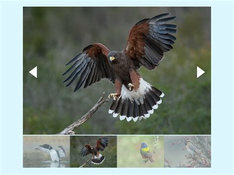 Image result for JavaScript Library for Slideshow