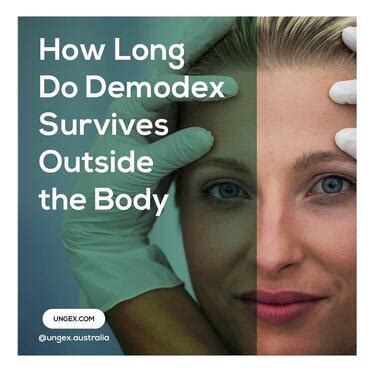 How Long Do Demodex Survives Outside The Body - Health, Beauty ...