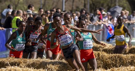 Atletismo - Campeonato Mundial de Cross Country 2026 da WA ...