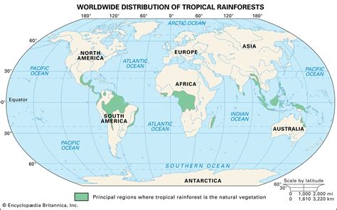 Distribution Of Tropical Rainforests