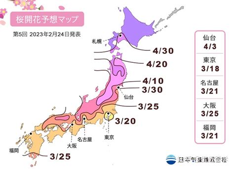 日本樱花何时赏？2020年的日本赏樱时间线_河津