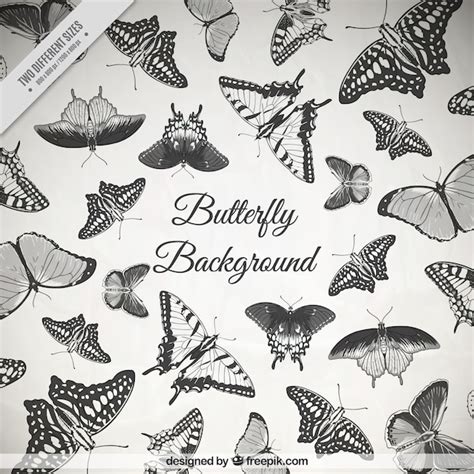 Background of hand drawn butterflies in vintage style | Free Vector
