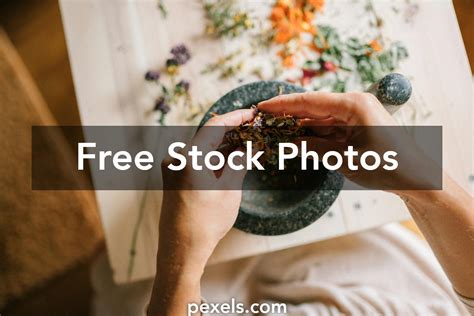 Plants for Medicine 的图像结果