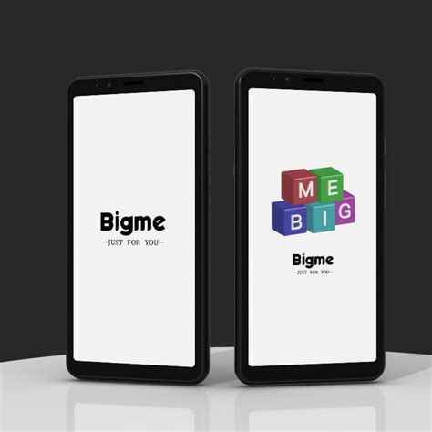 Bigme HiBreak E Ink smartphone takes another stab at eye-friendly ...