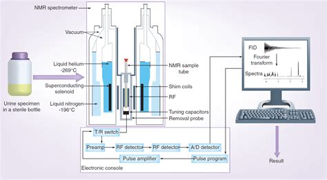 FACULTIES || Centre of Bio-Medical Research, Lucknow
