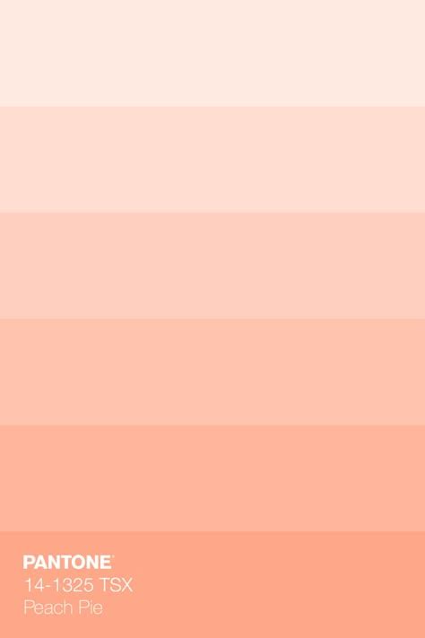 Image result for Peach Color Code