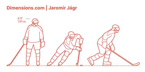Hockey Pitch 的图像结果