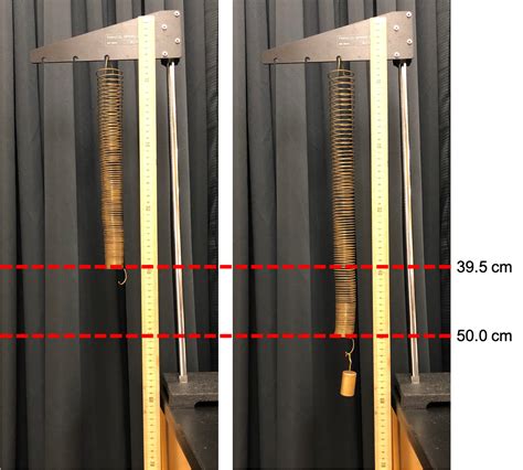 Units Of Spring Constant