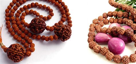 Rudraksha Beads, 1 to 21 Mukhi Rudraksh beads, Rudraksham