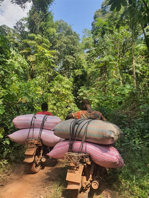 Image result for Cocoa API