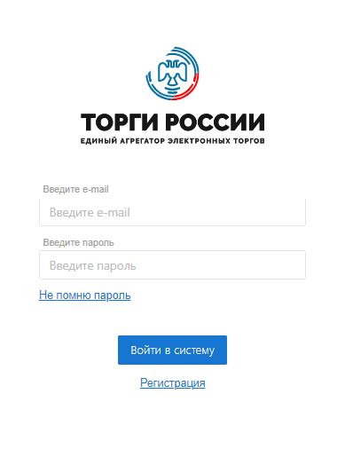 Торги России: портал, отзывы, функционал, инструкции, регистрация, тарифы