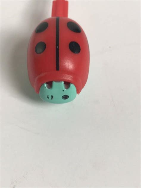 Image result for Shutterbug Time Oso