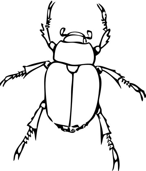 Free Beetle Clipart Black And White, Download Free Beetle Clipart Black ...