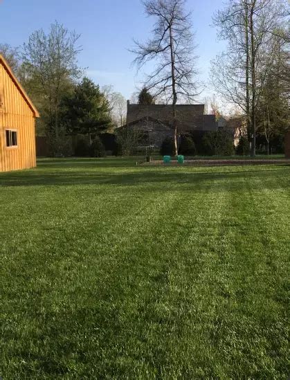 Turf Science 的图像结果