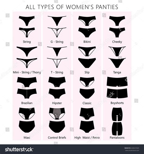 Tous types de culottes pour femmes. : image vectorielle de stock (libre de droits) 428241025 ...