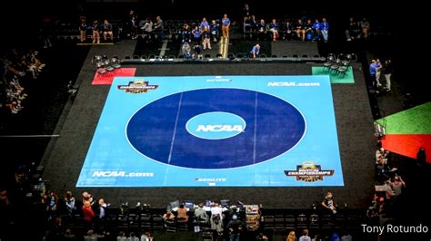 The Complete And Total 2024-25 NCAA D1 Wrestling Season Preview ...