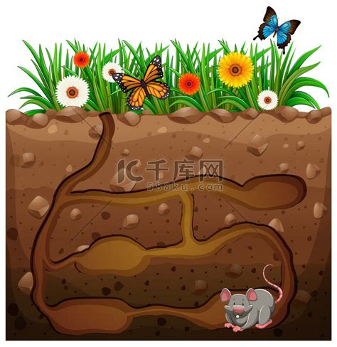 在花园里下的老鼠洞里背景图片免费下载-千库网