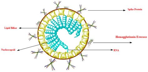 COVID-19 Pandemic: Epidemiology, Etiology, Conventional and Non ...