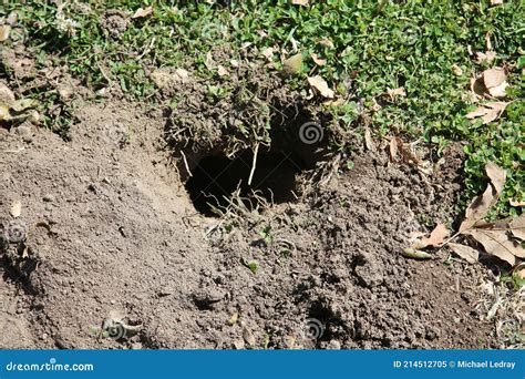 Gopher Hole