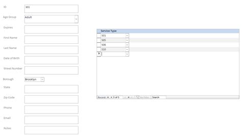 Image result for Format Access Continuous Form