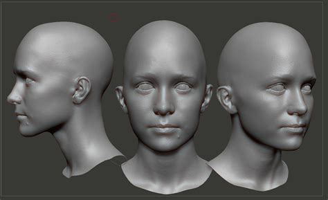 Image result for Photogrammetry Light Stage