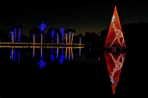 Phoenix Zoo Christmas Lights PHOENIX ZOO LIGHTS WALK THROUGH Events