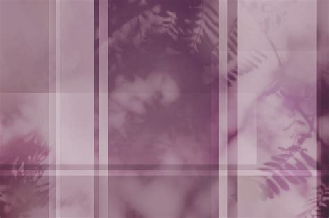 Hyde Sunset - Panera