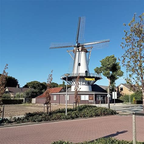 MOLEN WINDLUST (2026) All You Need to Know BEFORE You Go (with Photos ...