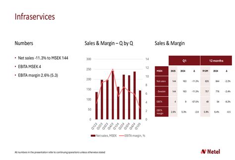 Netel Q1 2025 slides reveal mixed segment performance and lowered ...