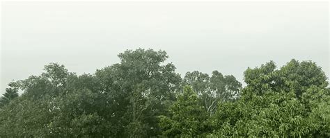 under 12a and 80g of income tax copyright 2023 catch foundation all ...