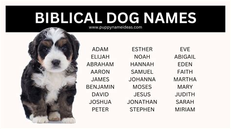 100+ Biblical Dog Names - Puppy Name Ideas