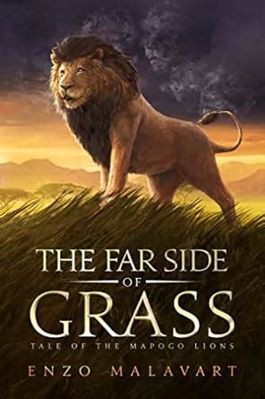 The Far Side of Grass : Tale of the Mapogo lions eBook : Malavart, Enzo ...