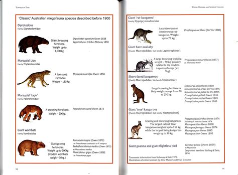 Tunnels in Time: The Discovery, Ecology & Extinction of Australia's Marsupial Megafauna - Nokomis